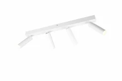 Clearance TRIO-Leuchten Strahler AMBALA