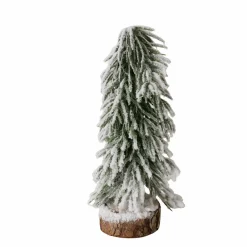 Best Sonstige Tannenbaum