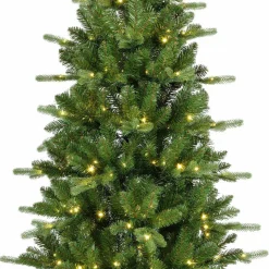 casa NOVA Tannenbaum KILLINGTON