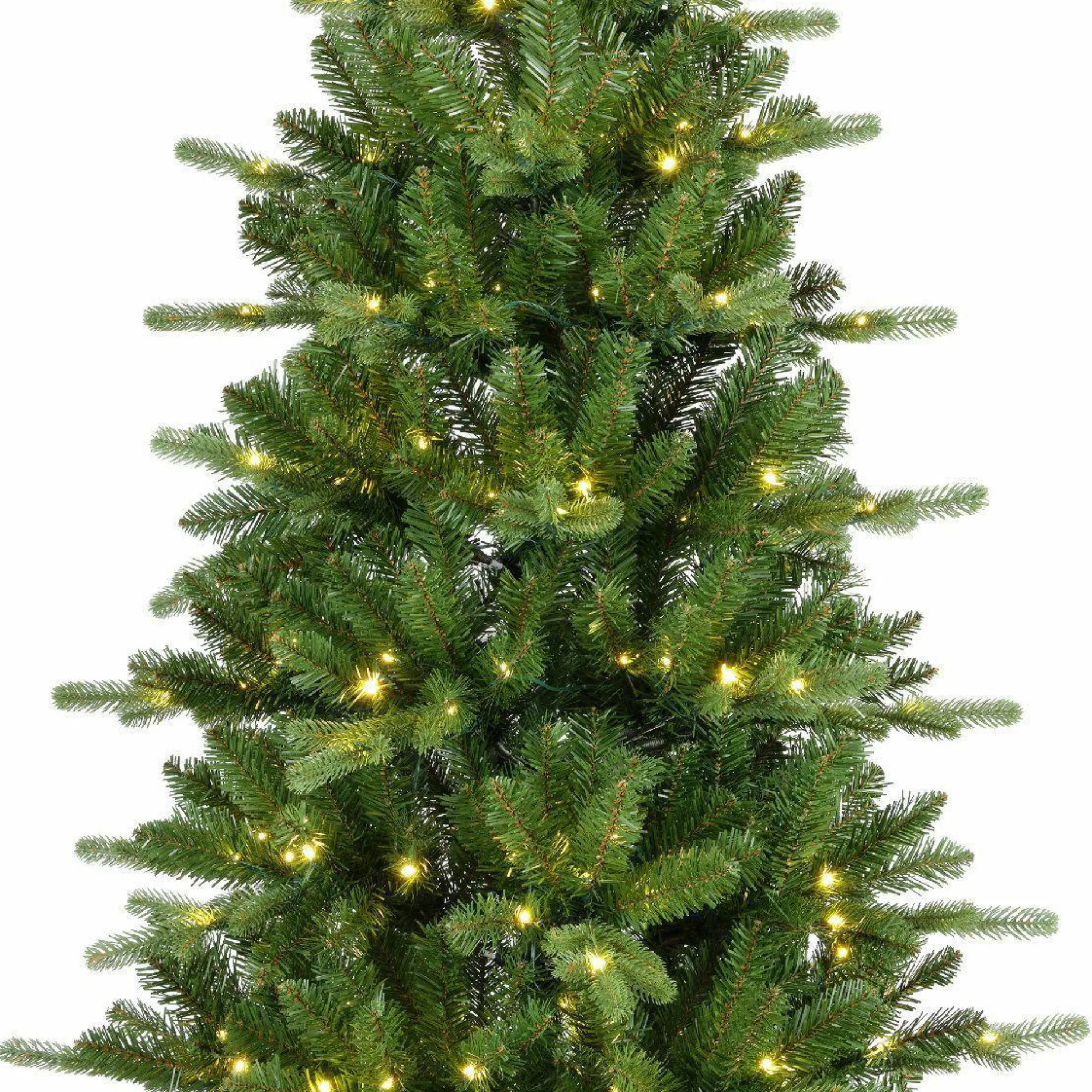 casa NOVA Tannenbaum KILLINGTON