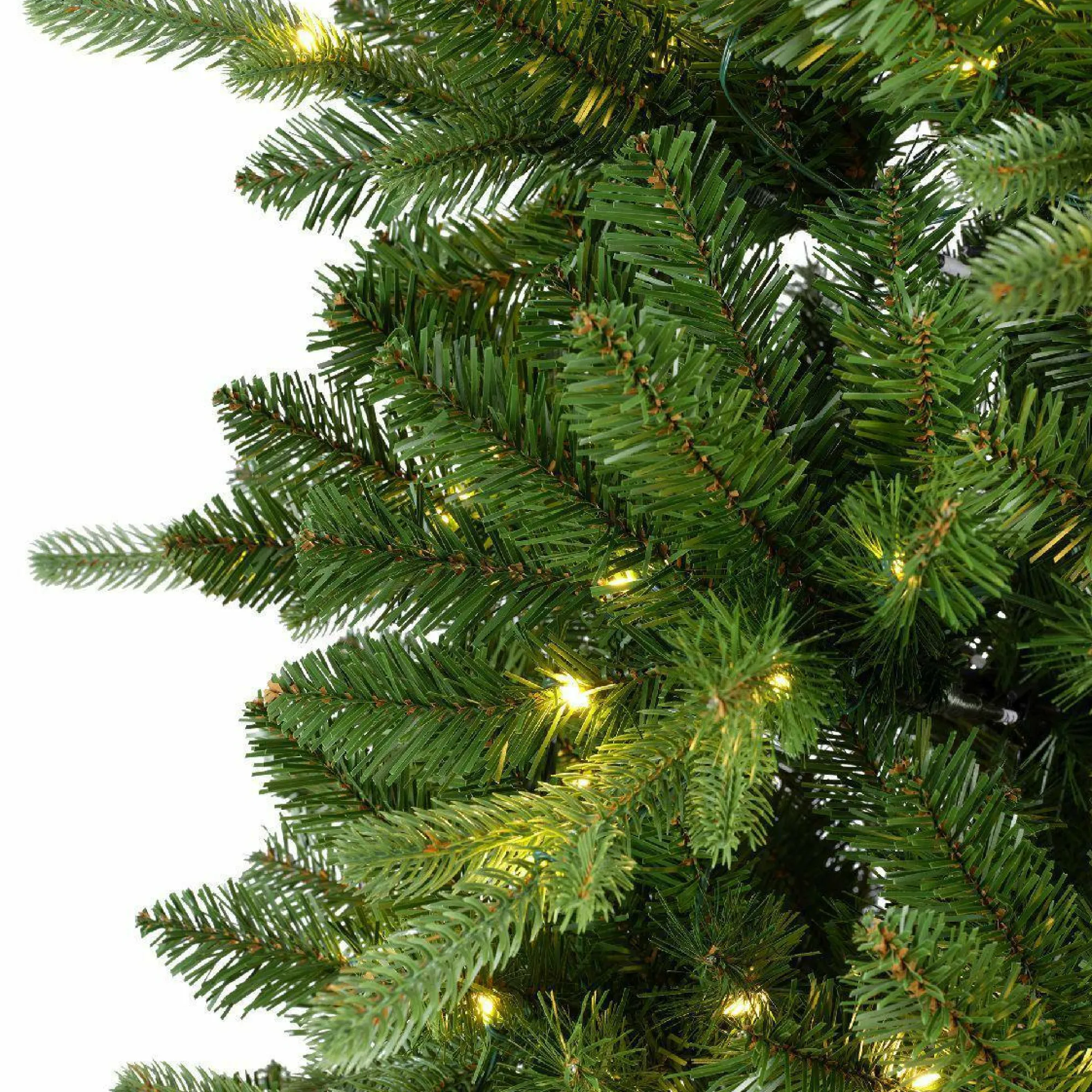 casa NOVA Tannenbaum KILLINGTON