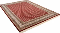 THEKO Teppich ABBAS MERAJ