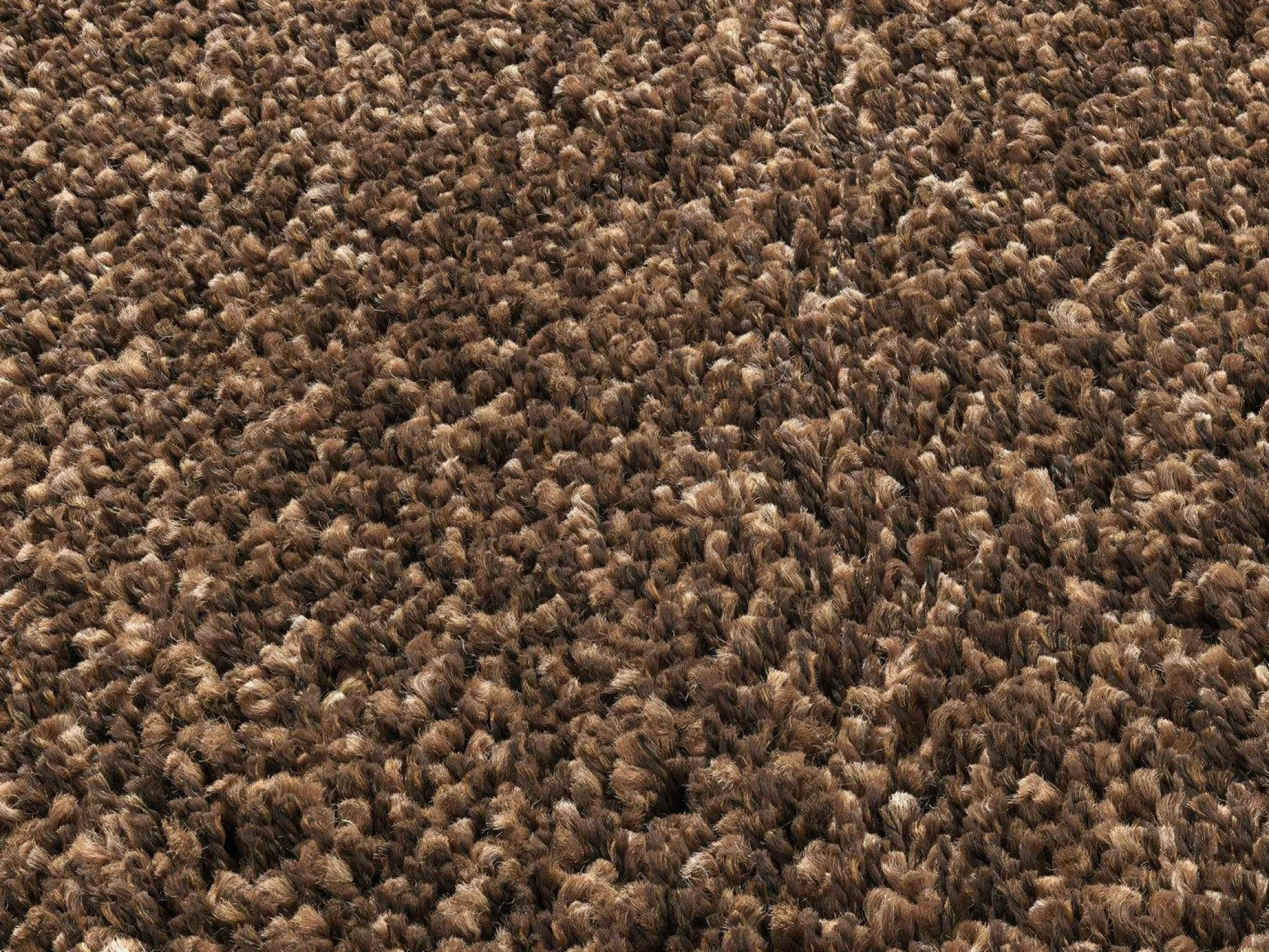 OCI Teppich PHOENIX braun