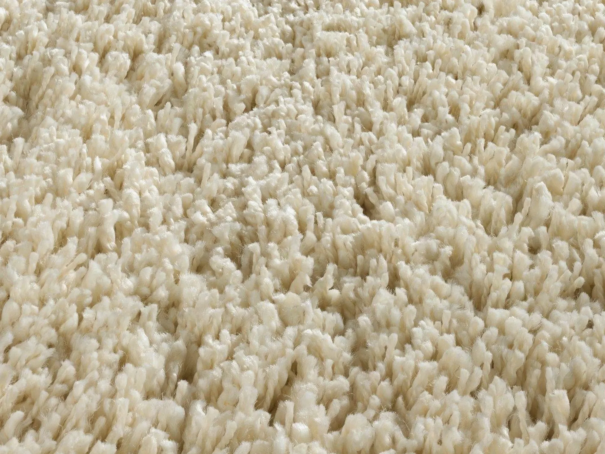 OCI Teppich PHOENIX creme