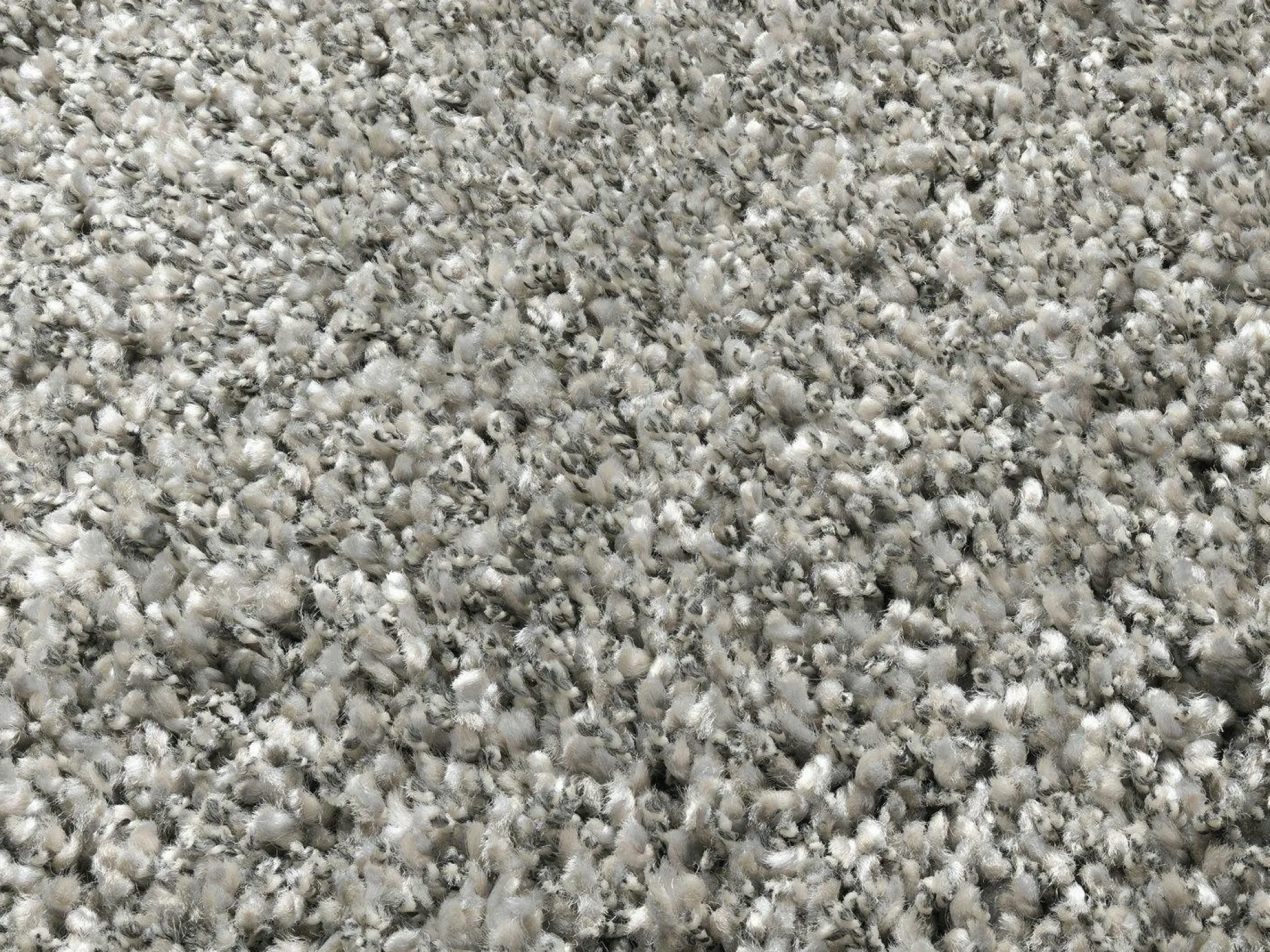 OCI Teppich PHOENIX grau