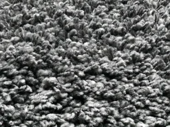 OCI Teppich rd PHOENIX