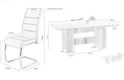 HELA Tischgruppe LIA II