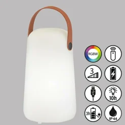 FHLIGHTING Tischleuchte COLLGAR