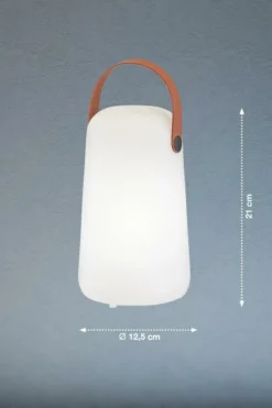 FHLIGHTING Tischleuchte COLLGAR