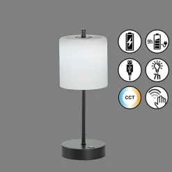 FHLIGHTING Tischleuchte RIVA