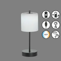 FHLIGHTING Tischleuchte RIVA