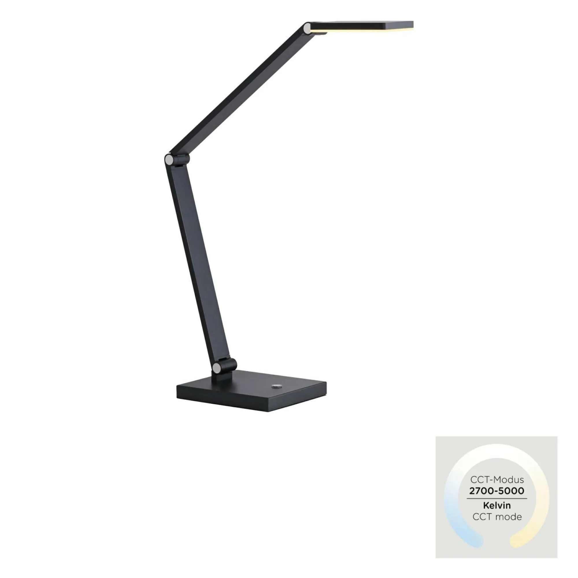 Hot Paul Neuhaus Tischleuchte SAMSKY