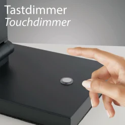 Hot Paul Neuhaus Tischleuchte SAMSKY