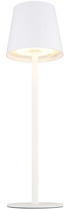 GLOBO Lighting Tischleuchte VANNIE