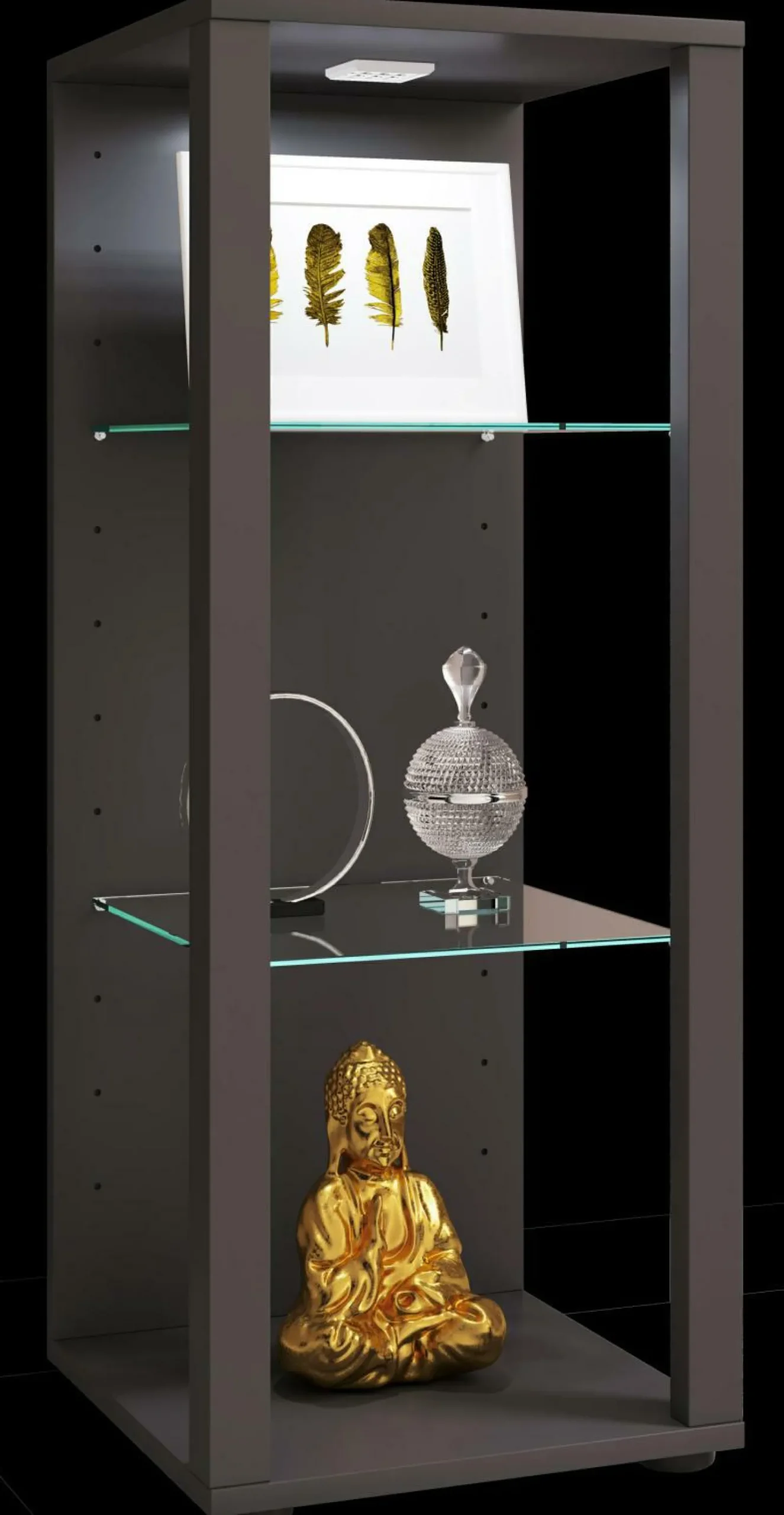 New VCM Vitrine GLASOL