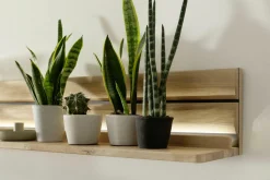 MCA Wandboard GIRONA