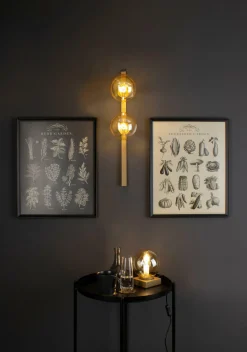 Outlet ECO-LIGHT Wandleuchte PLUTO