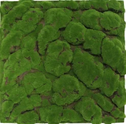 Online Jangal Wandpaneel MODULAR WALL