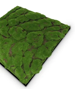 Online Jangal Wandpaneel MODULAR WALL