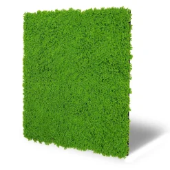 Outlet Jangal Wandpaneel MODULAR WALL