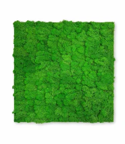 Discount Jangal Wandpaneel MODULAR WALL