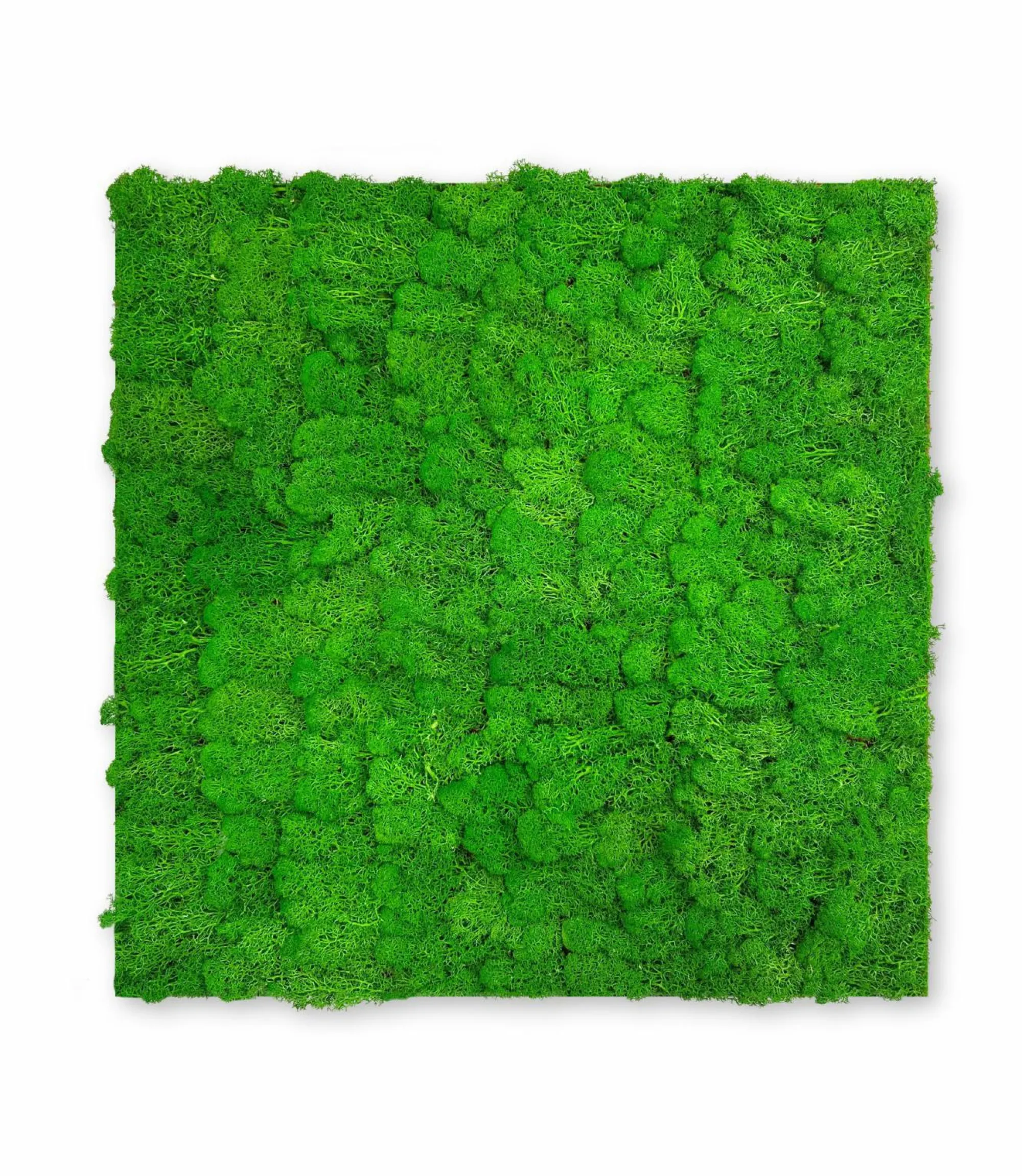 Discount Jangal Wandpaneel MODULAR WALL