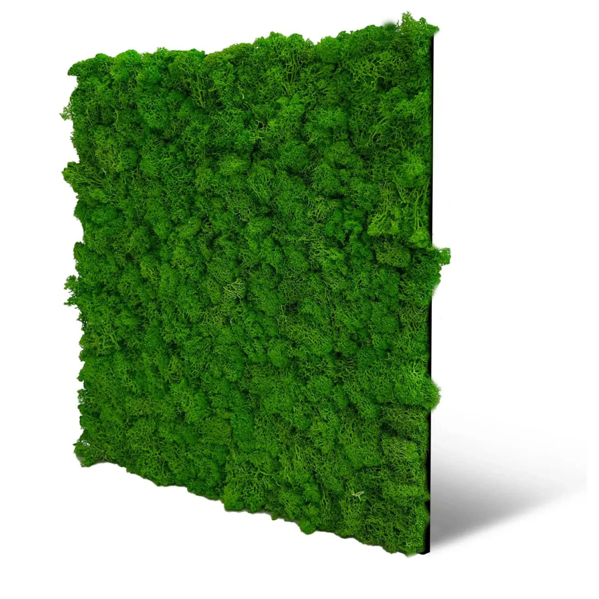 Discount Jangal Wandpaneel MODULAR WALL