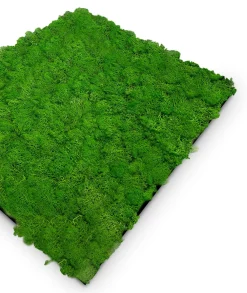 Discount Jangal Wandpaneel MODULAR WALL