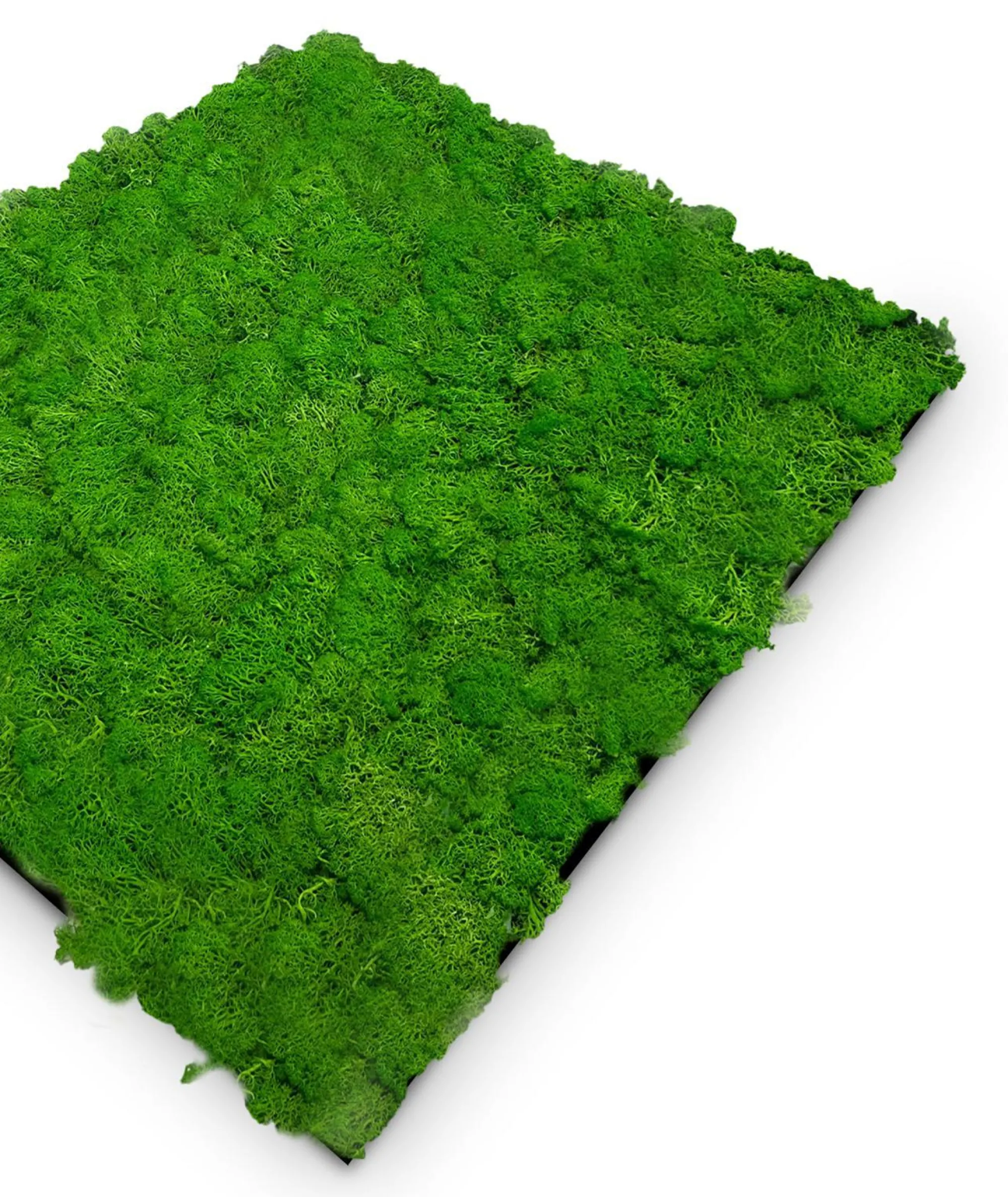 Discount Jangal Wandpaneel MODULAR WALL