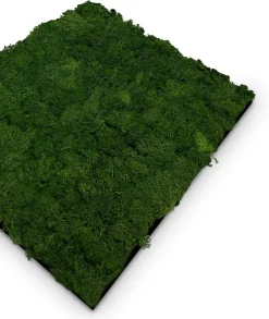 Jangal Wandpaneel MODULAR WALL