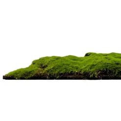 Sale Jangal Wandpaneel MODULAR WALL