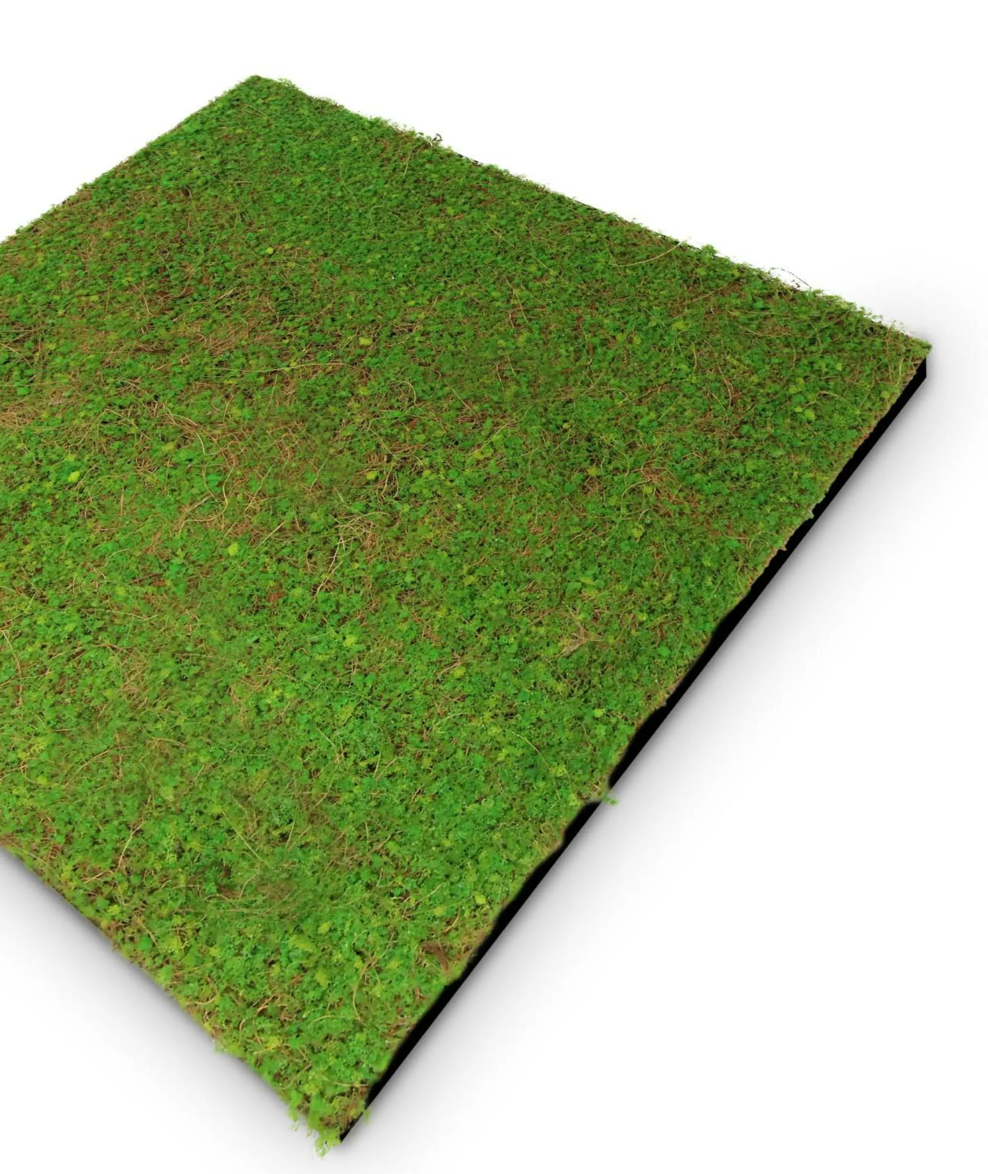 Jangal Wandpaneel MODULAR WALL