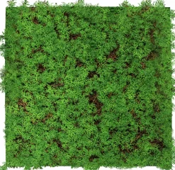 Online Jangal Wandpaneel MODULAR WALL