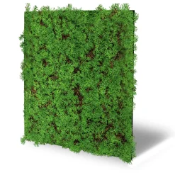 Online Jangal Wandpaneel MODULAR WALL