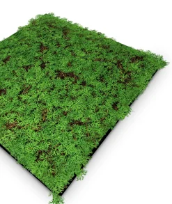 Online Jangal Wandpaneel MODULAR WALL