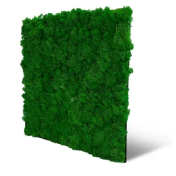 Jangal Wandpaneel MODULAR WALL