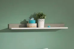 PAIDI Wandregal KIRA