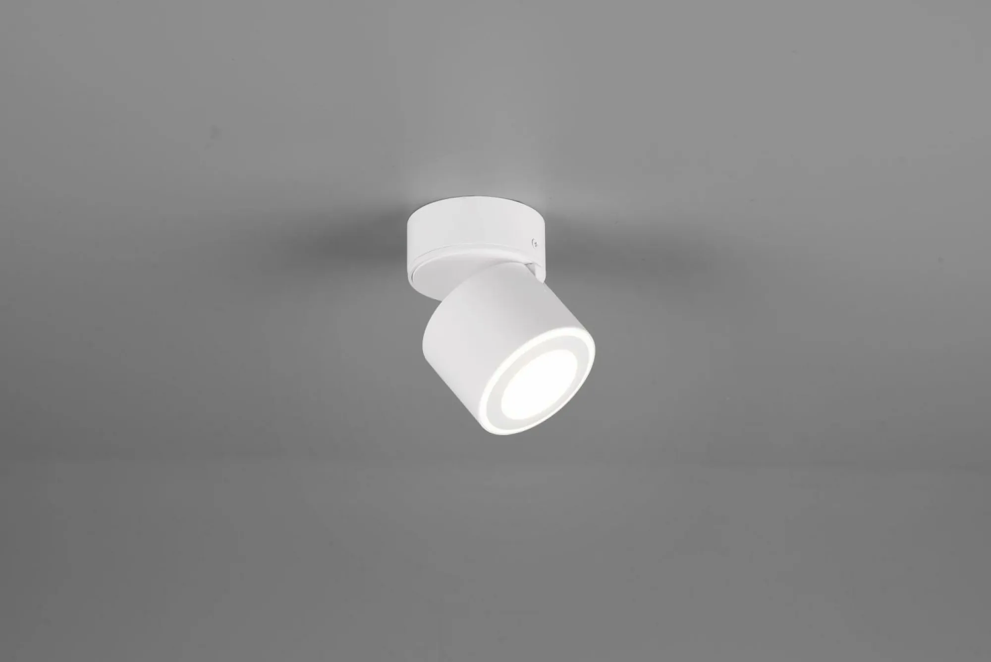 Sale TRIO-Leuchten Wandspot TAURUS