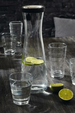 Hot WMF Wasserkaraffe BASIC schwarz