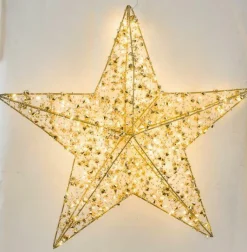 Sonstige Weihnachtsstern LED