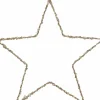Sonstige Weihnachtsstern LED