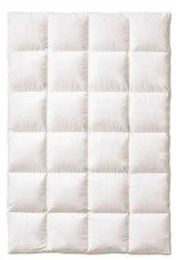 sanders Winterbett DREAMCATCHER